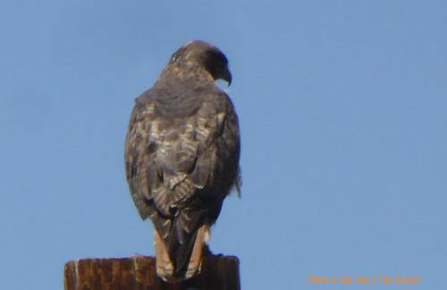 Mansion on the Hill let 4 Rooms, 5th cost extra - Foto 68