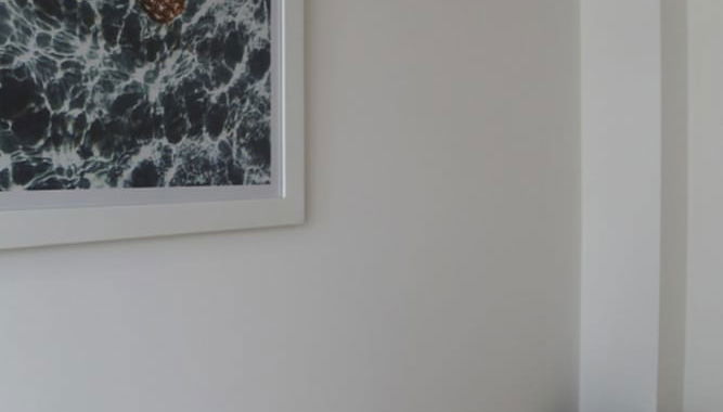 Pormenores do interior