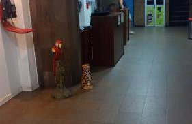 Suíte com a melhor vista de Manaus - Foto 24