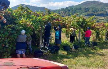 Casinha Ponte Nova - Foto 53