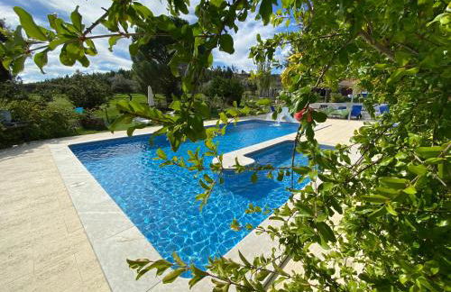 Quinta Alfaval - Foto 22