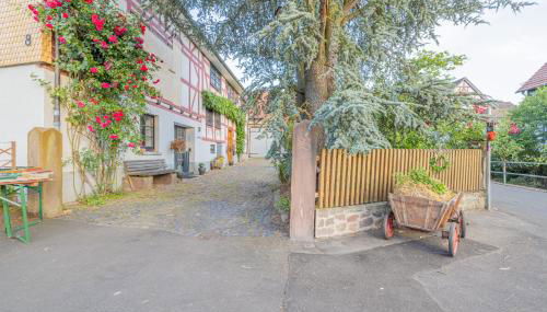 Ferienwohnung Rosengarten - Foto 2, Garden