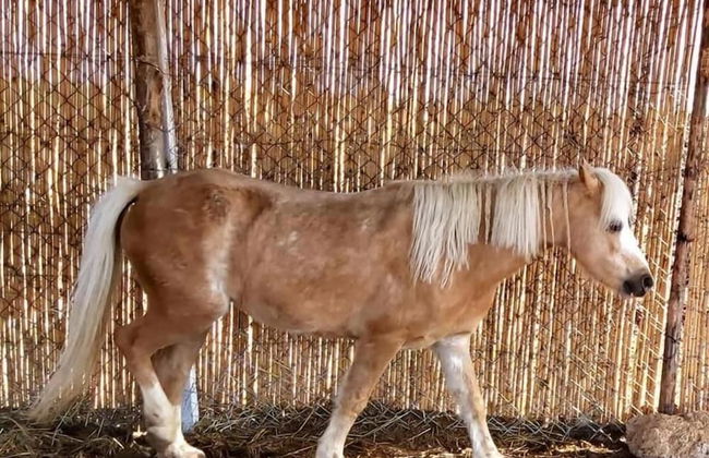 Bio et Bois - Foto 80