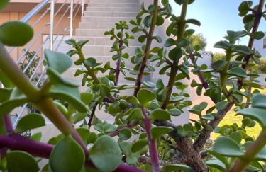 South Comfort Living - Photo 4