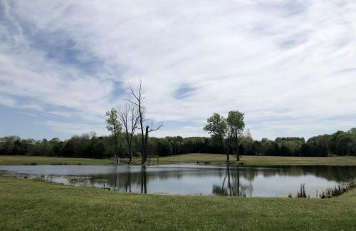 Superb Getaway Cabin near Long Hunter State Park and Nashville, Tennessee - Foto 24