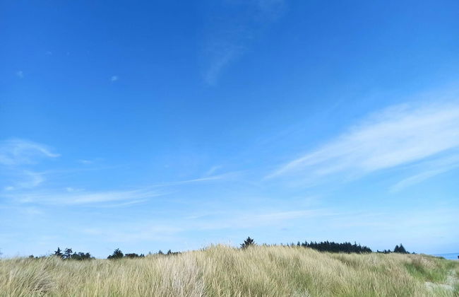 Lovely Holiday Home in Jutland near Sea - Foto 6