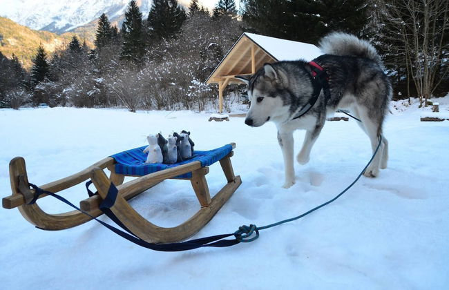Soča Home With The View - Foto 19