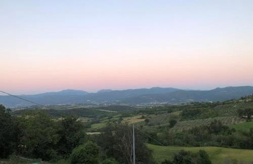 Casa Vacanze Vecchio Frantoio Residenza Leccino - Foto 14