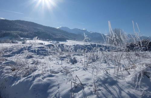 Gite des Rosiers - Foto 33