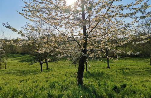 Fernwohl Kürnbach - Foto 17