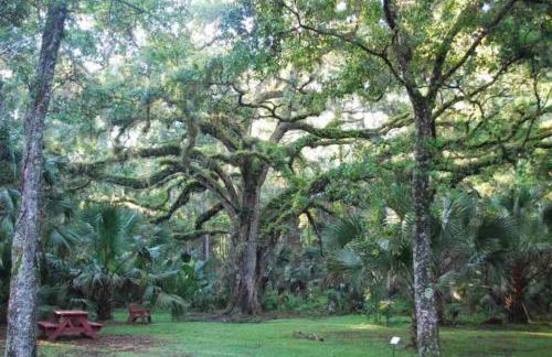 The perfect Little Cottage for your gateway! - Foto 26