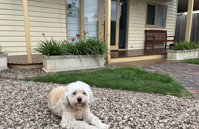 Sabina On Little Myers - Foto 13