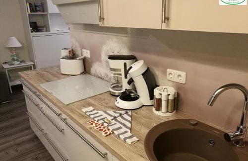 Ostsee-Wiesenpieper (Graal-Müritz) - Foto 6