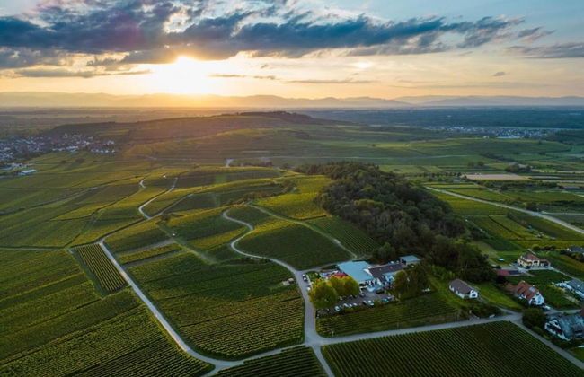Holiday Apartment Monet in Oberrotweil - Foto 31