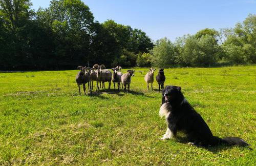 Herrenhaus Harmshagen - Foto 18