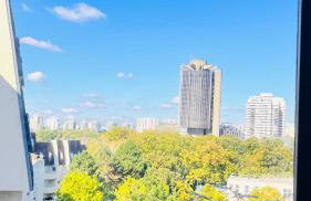 Charmant et cosy appartement à Créteil lac - Foto 31