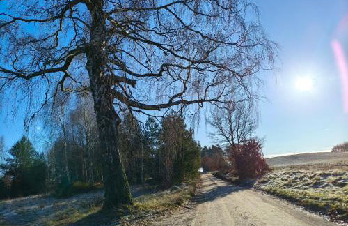 Domek z balią na Kaszubach w Pomysku Małym - Foto 24