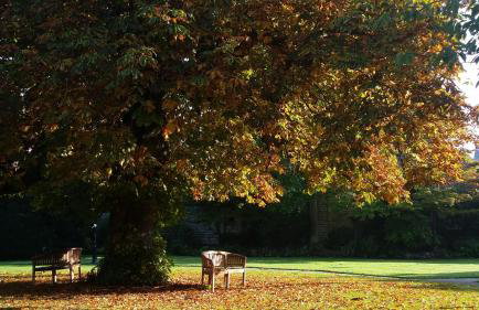 Hazlewood Castle & Spa - Foto 65