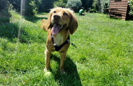 Cozy at the Causeway - Foto 32