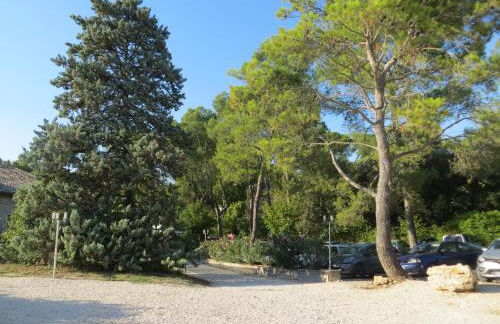 Les Studios-Hôtel de Sommières - Foto 18