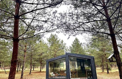 100 Drzew - Leśny Klimat Mazur - Foto 1