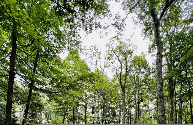 Fernwood Cottage A Poconos Retreat - Photo 26