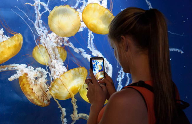 San Francisco CityPASS® - Foto 3