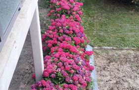 Gîte Val de Saône et Beaujolais, Clos Beaudet - Foto 22