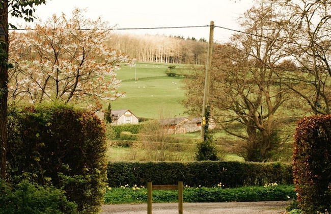 Courtyard Cottage - Foto 41