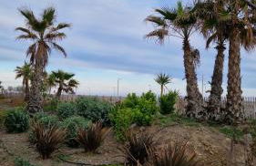 Archipel Capri - Foto 29