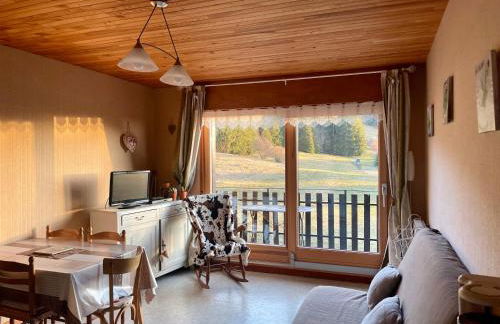 Appartement au pied des pistes - Foto 1