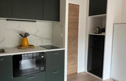 Studio cosy Mont-Dore avec vue, balcon, parking - Foto 20