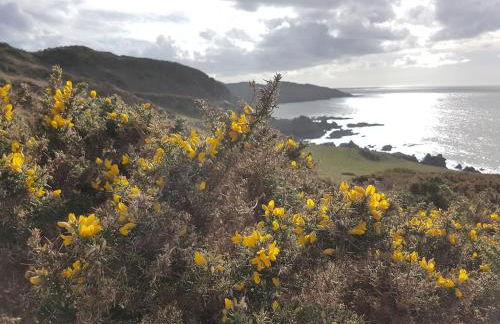 Long Linhay Mortehoe Woolacombe - Foto 36