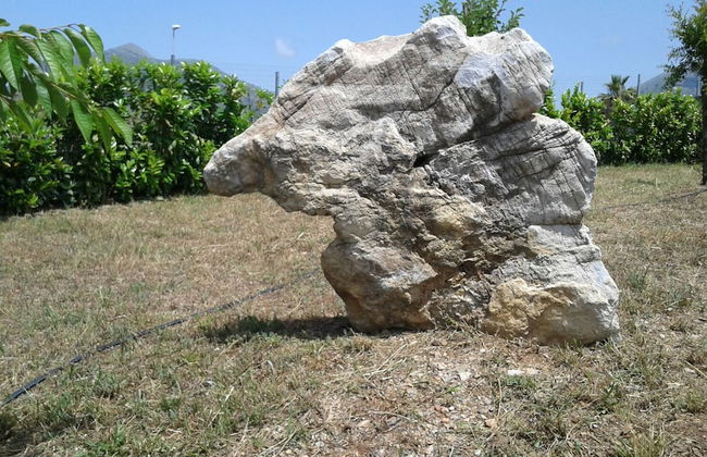 B&B Torre Nave - Foto 39