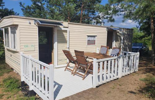 Holenderki na Zielonych Wzgórzach, Łowyń - Foto 14