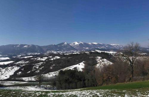 Casa Vacanze Vecchio Frantoio Residenza Leccino - Foto 18
