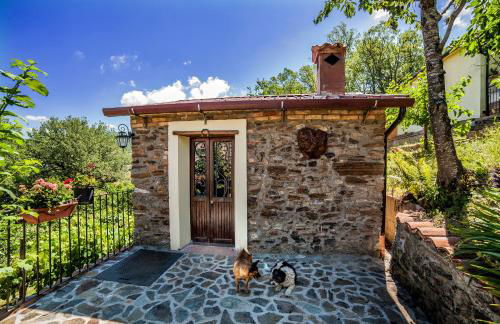 Casa sull'albero Bocchineri - Photo 28