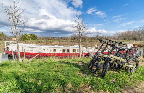 Péniche Haricot Noir Canal du Midi - Foto 35