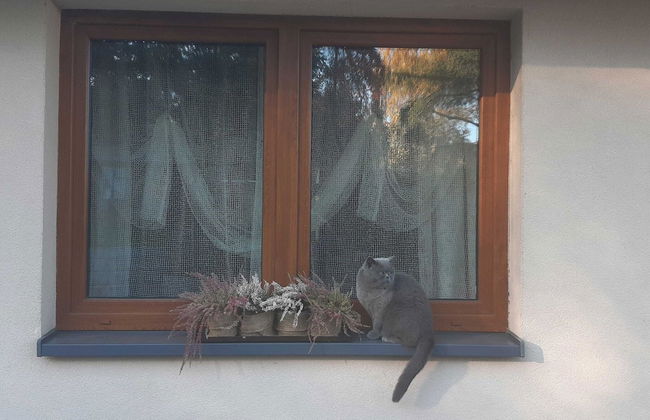 Appartment, Wieliczka by Cracow - Photo 16