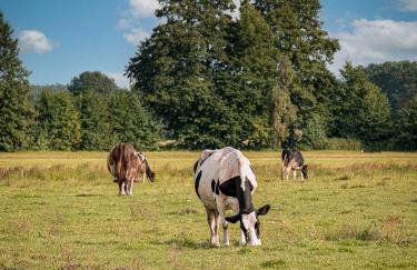 Osada Puszczy Śpiew - Foto 7