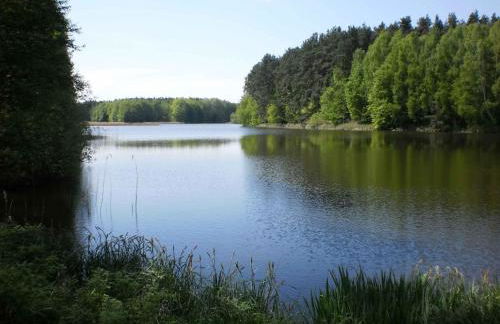 Ferienhäuser Waldidyll - Foto 29