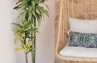 Can Pep Gibert - Foto 57