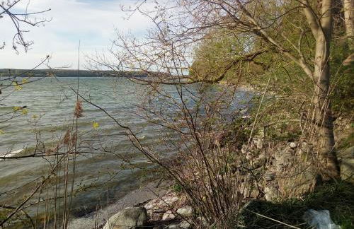 Lenzer Parkblick am Plauer See - Foto 26