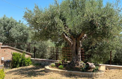 Villa Angela - Foto 15