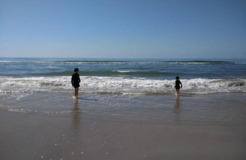 Meu pequeno paraíso - Photo 5