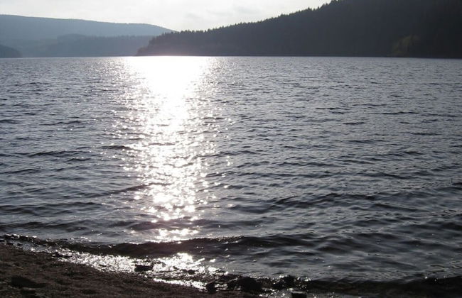 Cosy Apartment in Eibenstock - Foto 11