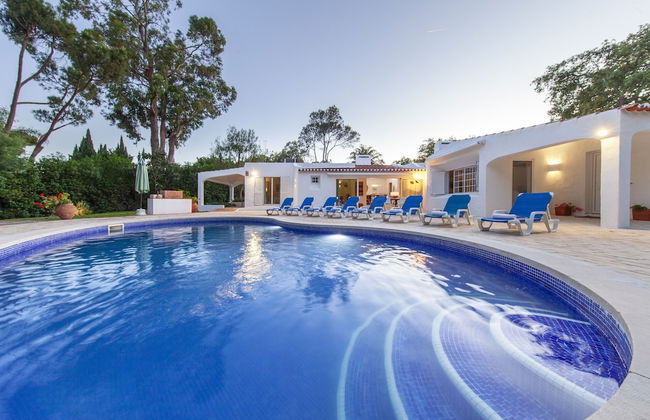 Villa AlGharif - Photo 50