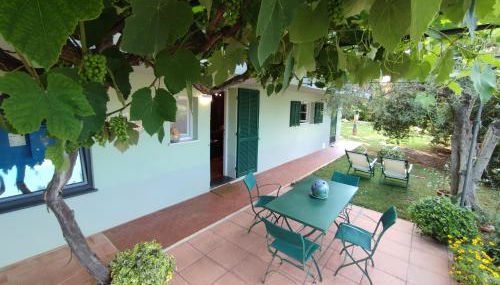 Independent apartment with a fabulous patio - Casa Penny - Photo 3