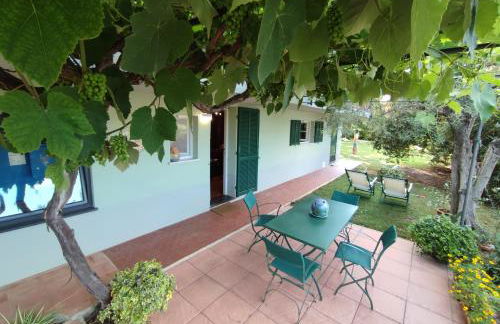 Independent apartment with a fabulous patio - Casa Penny - Foto 3