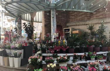 Colón Market Downtown - Photo 33